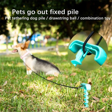 Multifunctional Dog Tug-of-War Toy