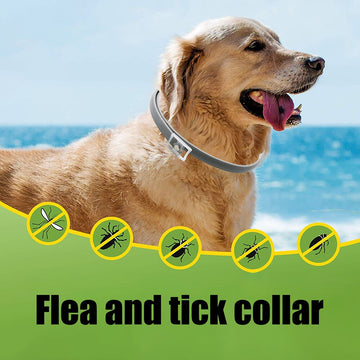 Adjustable Pet Collar