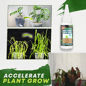 Soluție Nutrientă pentru Plante cu Aminoacizi