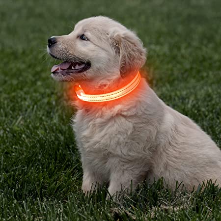 Rechargeable LED Collar
